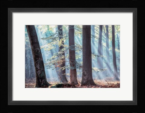 Framed Spellbound Print