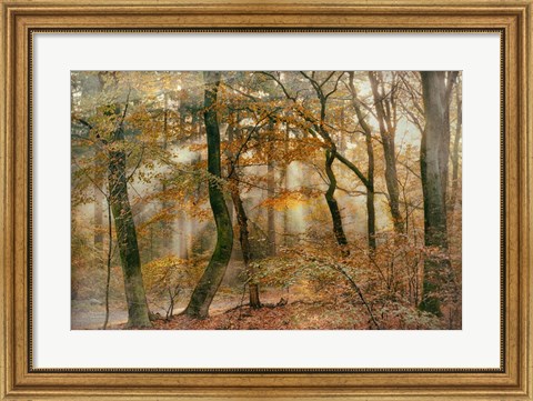 Framed You Can&#39;t Hide Your Rays for Me Print