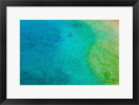 Framed Solo Swim Print
