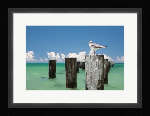 Framed Welcome to Naples, Florida Print
