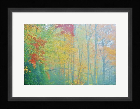 Framed Autumn's Palette Print