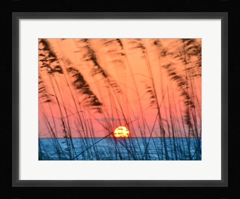 Framed Sun Dance Print