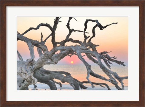 Framed Sunrise Sentinel Print