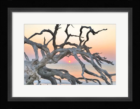 Framed Sunrise Sentinel Print