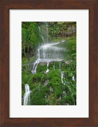 Framed Moss Waterfall Print