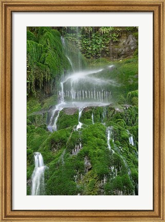 Framed Moss Waterfall Print
