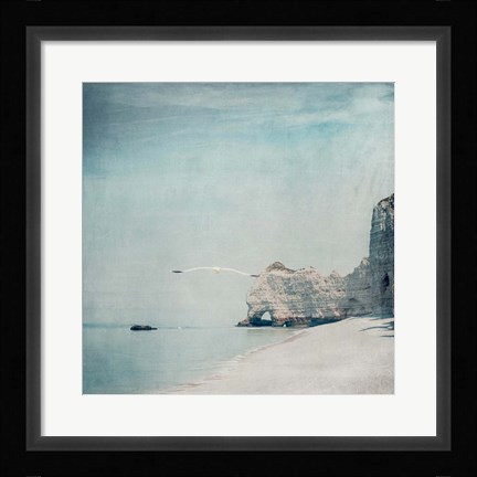 Framed Gliding Print