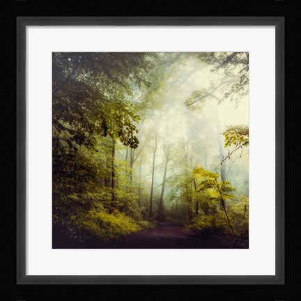 Framed Glorious Woods Print
