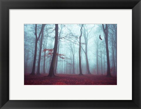 Framed Solstice in Fog Print