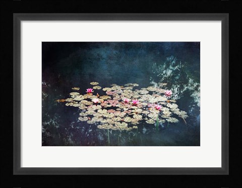 Framed Waterlilies Print
