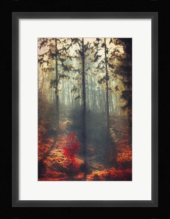 Framed Weight of Light Print
