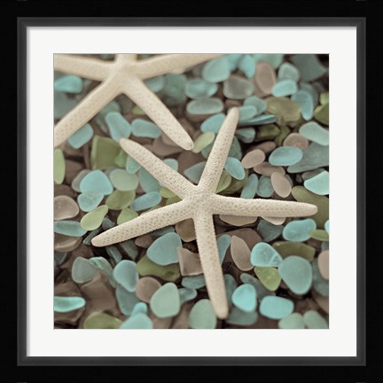 Framed Aquatic 1 Print