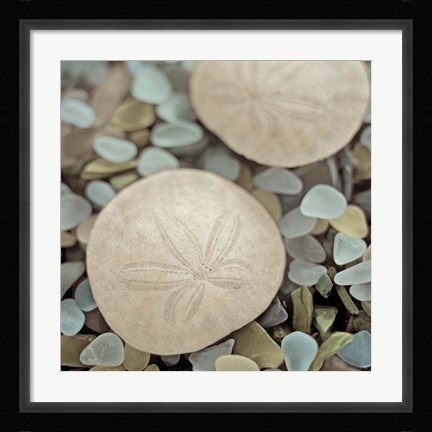 Framed Aquatic 2 Print