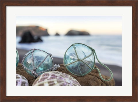 Framed Crescent Beach Shells 16 Print