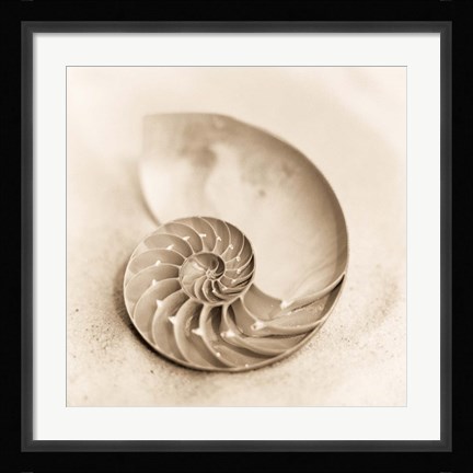 Framed Il Oceano No. 4 Print