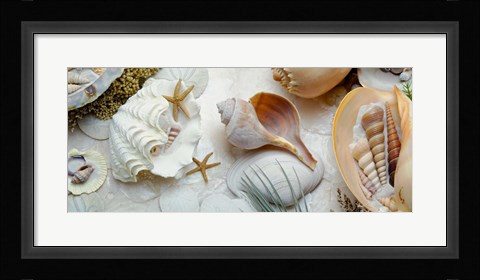 Framed Island Tide Pool No. 3 Print