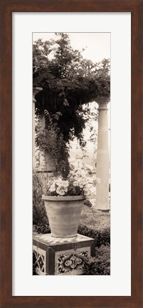 Framed Jardin Botanico Print