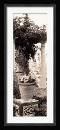 Framed Jardin Botanico Print