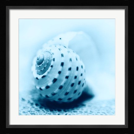 Framed Nautica No3 Print