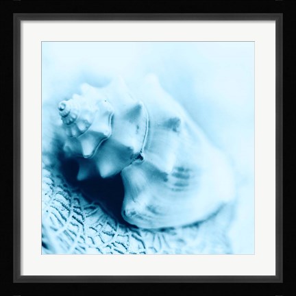 Framed Nautica No4 Print