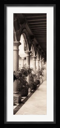 Framed Palacio de Valdespino Print