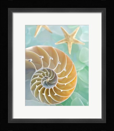 Framed Seaglass 2 Print