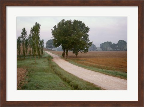 Framed Toscana Valle No.2 Print