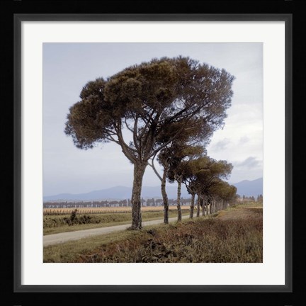 Framed Tuscan Fatorria Strada No. 1 Print