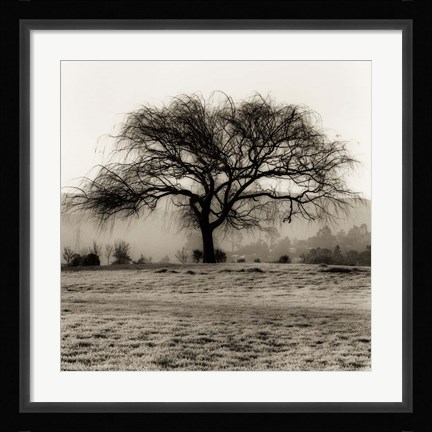 Framed Willow Tree Print