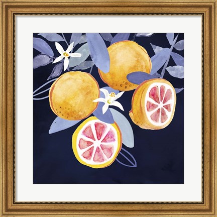 Framed Fresh Fruit III Print
