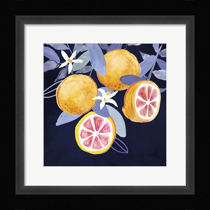 Framed Fresh Fruit III Print