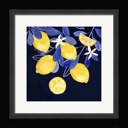 Framed Fresh Fruit V Print