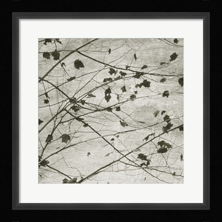 Framed Laced Sky I Print