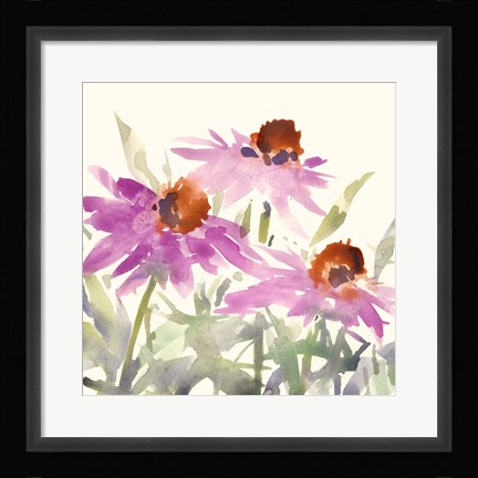 Framed Daisy Garden Views II Print