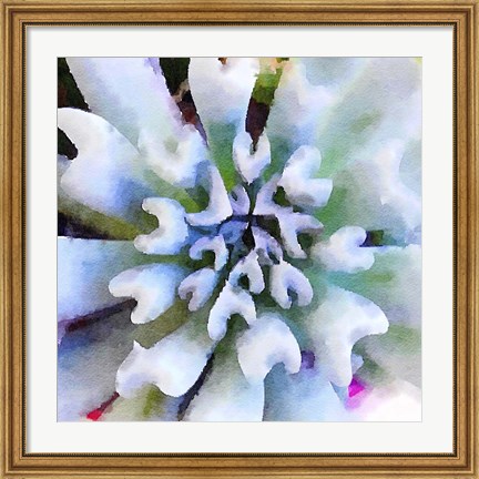 Framed Succulente I Print