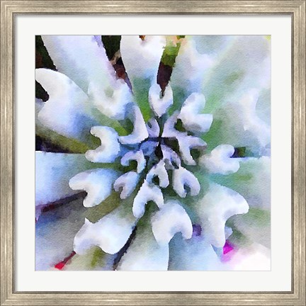 Framed Succulente I Print