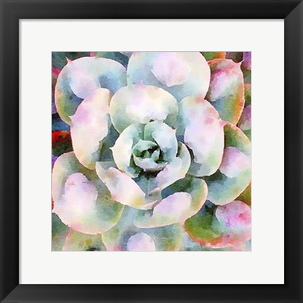 Framed Succulente V Print