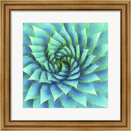 Framed Succulente VI Print