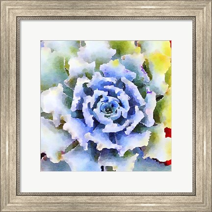 Framed Succulente VII Print