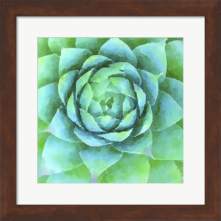 Framed Succulente X Print