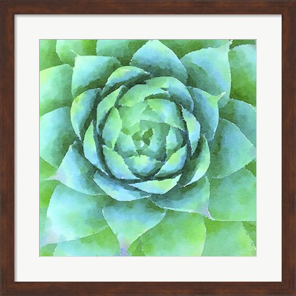 Framed Succulente X Print