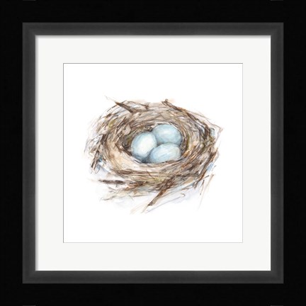 Framed Bird Life I Print