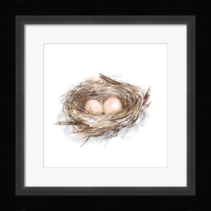 Framed Bird Life II Print