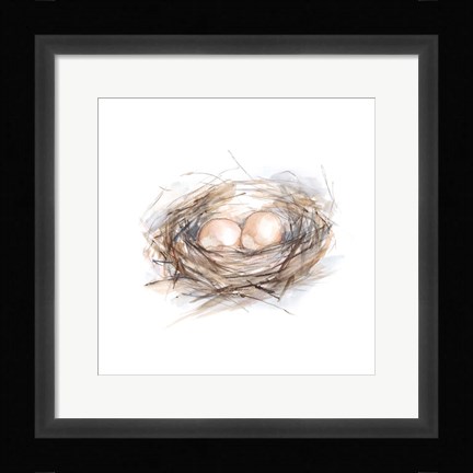 Framed Bird Life IV Print