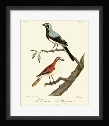 Framed Vintage French Birds II Print