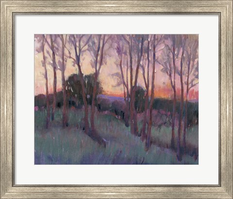 Framed Morning Light II Print