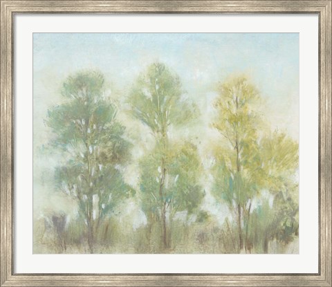 Framed Muted Trees II Print