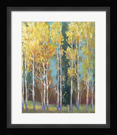 Framed Aspen Grove I Print