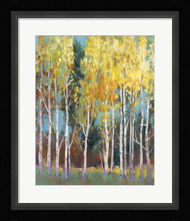 Framed Aspen Grove II Print