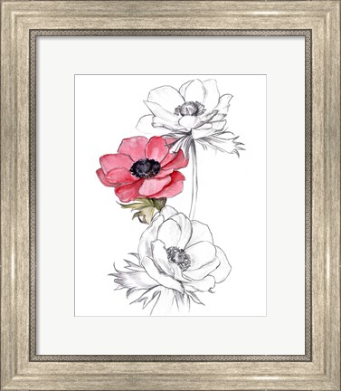 Framed Anemone by Number II Print